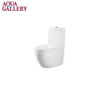 Porcelain WC Brand Toilet Set