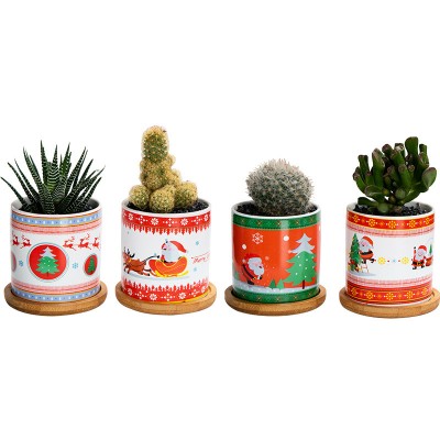 Christmas gift tabletop succulent flower pot potted Christmas decoration ornaments