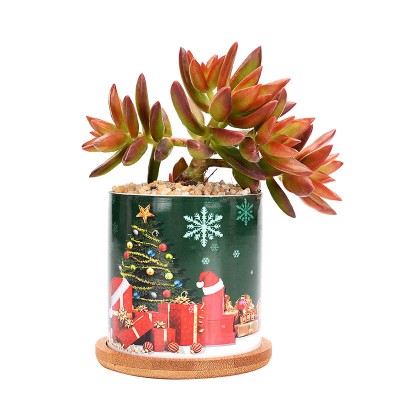 Nordic Simple Christmas Round Green Plant Ceramic Flower Pot Garden Decoration